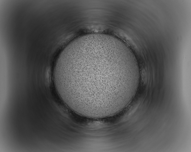 X0000096730594200802191550