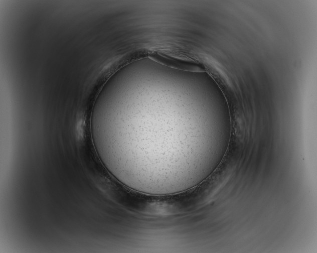 X0000096730596200802191550