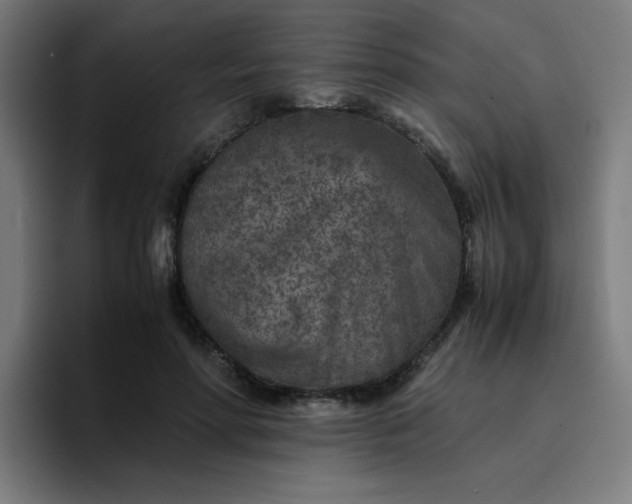 X0000096730598200802191550