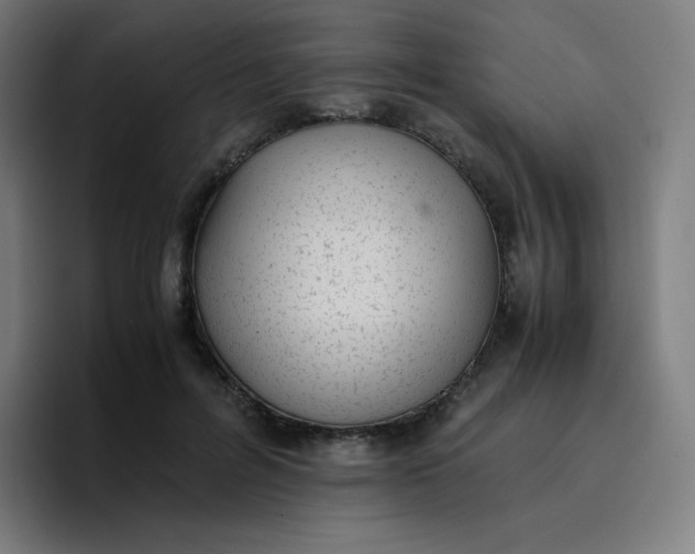 X0000096730600200802191550