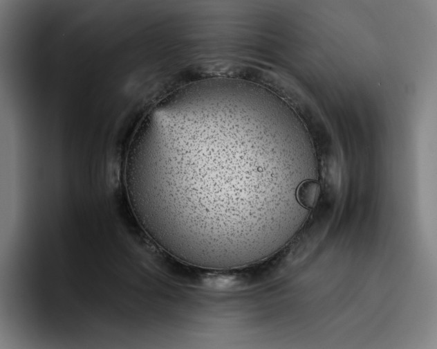 X0000096730602200802191550