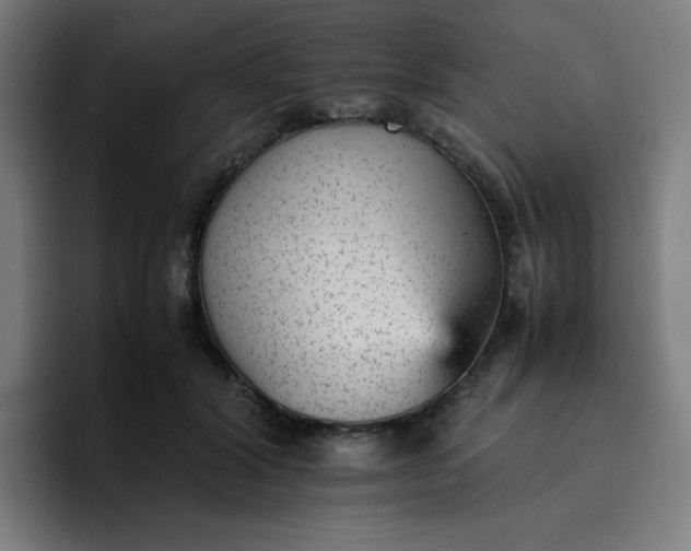 X0000096730604200802191550