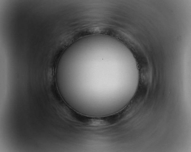 X0000096730605200802191550