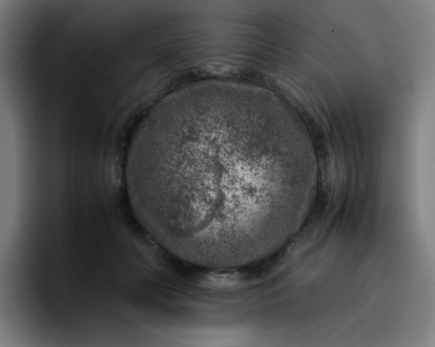 X0000096730606200802191550