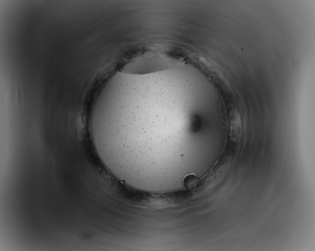 X0000096730608200802191550