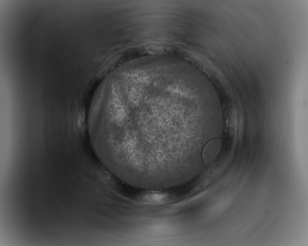 X0000096730610200802191550