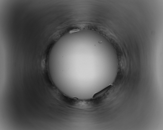 X0000096730611200802191550