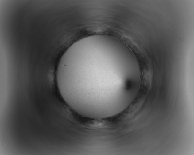 X0000096730612200802191550