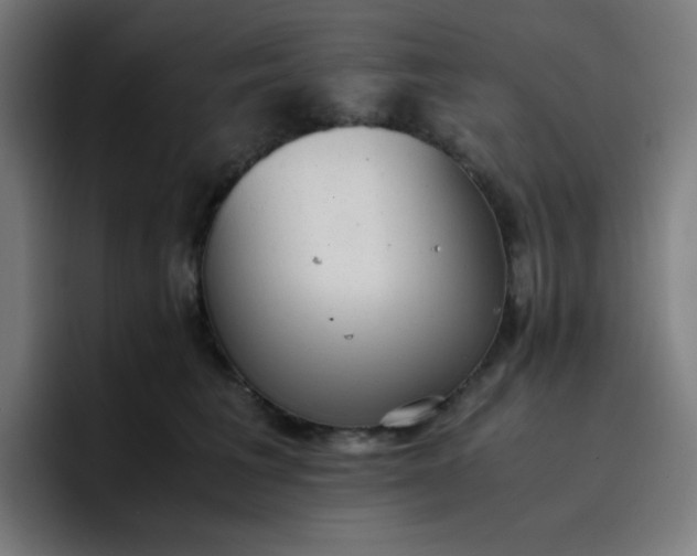 X0000096730613200802191550