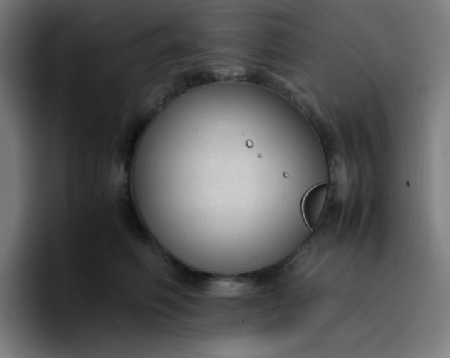 X0000096730614200802191550