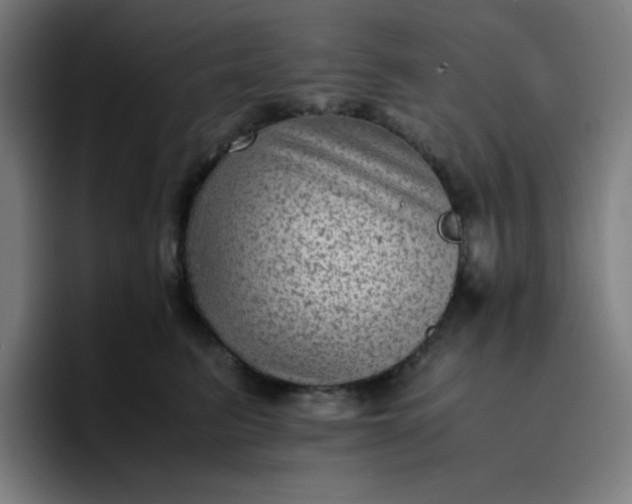 X0000096730615200802191550