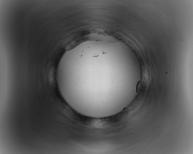 X0000096730616200802191550