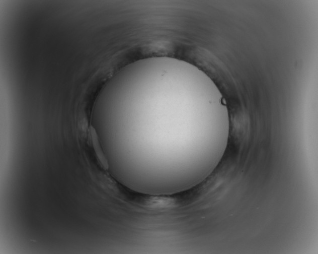 X0000096730617200802191549