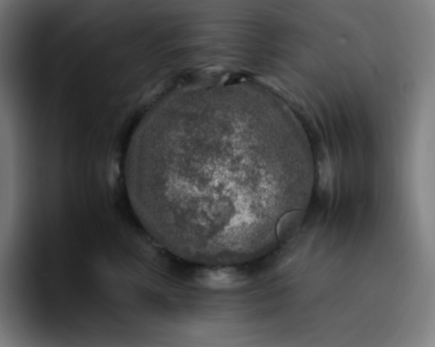 X0000096730618200802191549