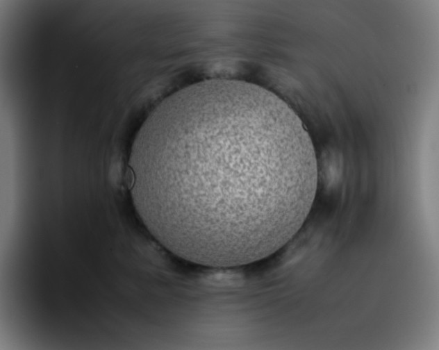 X0000096730619200802191549