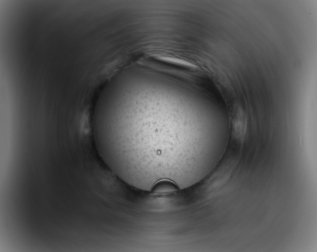 X0000096730620200802191549