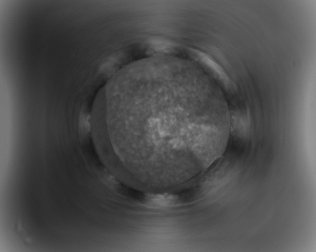 X0000096730621200802191549