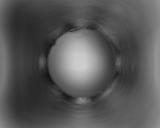 X0000096730623200802191549