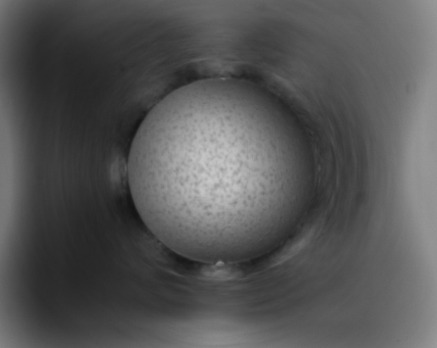 X0000096730624200802191549