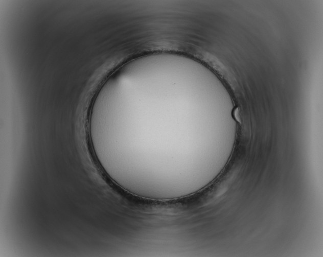 X0000096730625200802191549