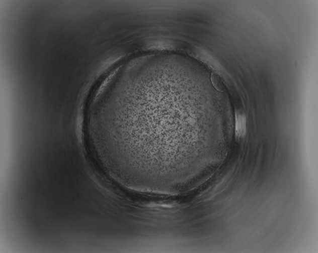 X0000096730627200802191549