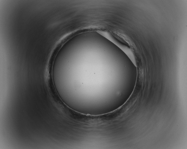 X0000096730628200802191549