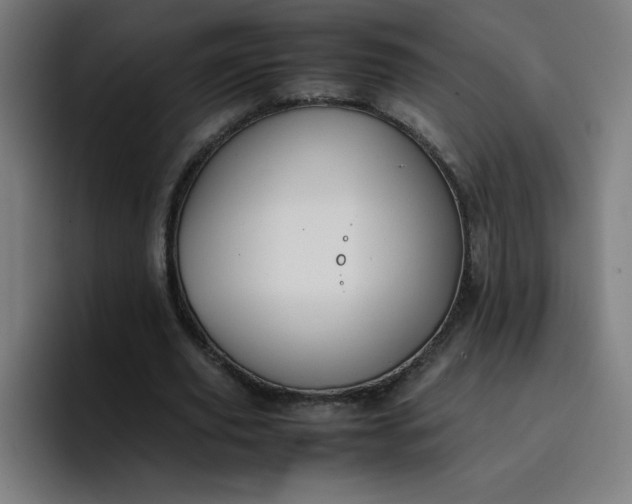 X0000096730629200802191549