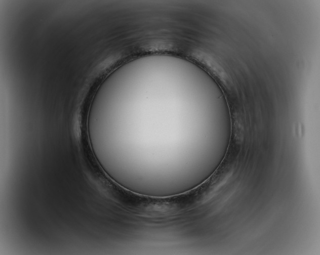 X0000096730631200802191549