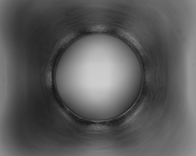 X0000096730633200802191549