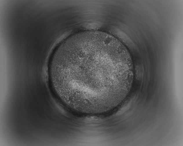 X0000096730634200802191549