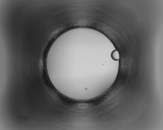 X0000096730636200802191549