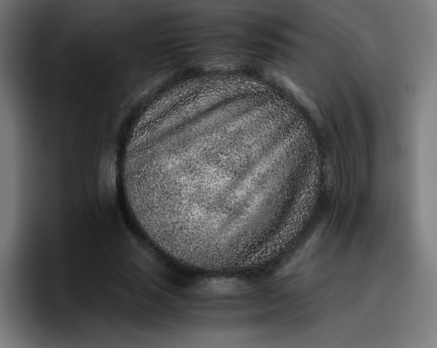 X0000096730637200802191549