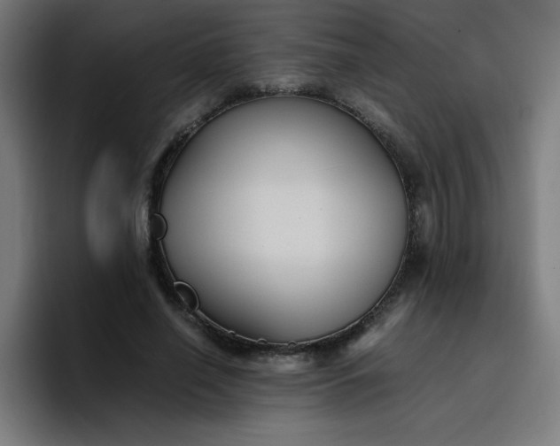 X0000096730638200802191549