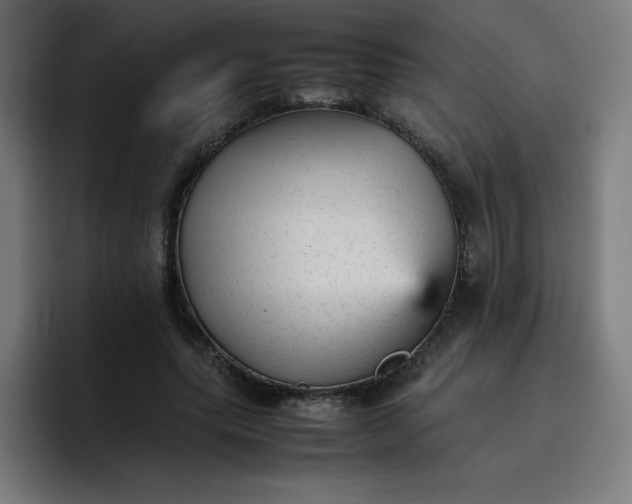 X0000096730639200802191549