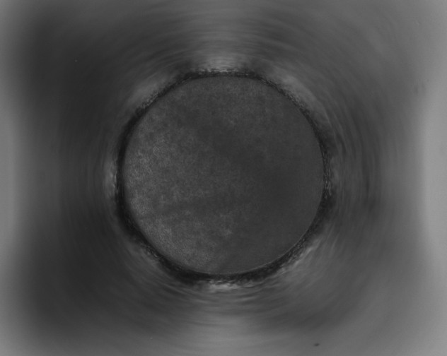 X0000096730640200802191549