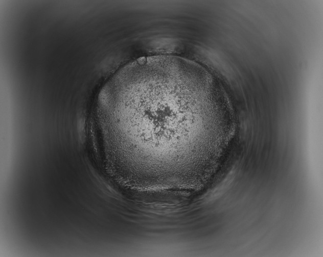 X0000096730641200802191549