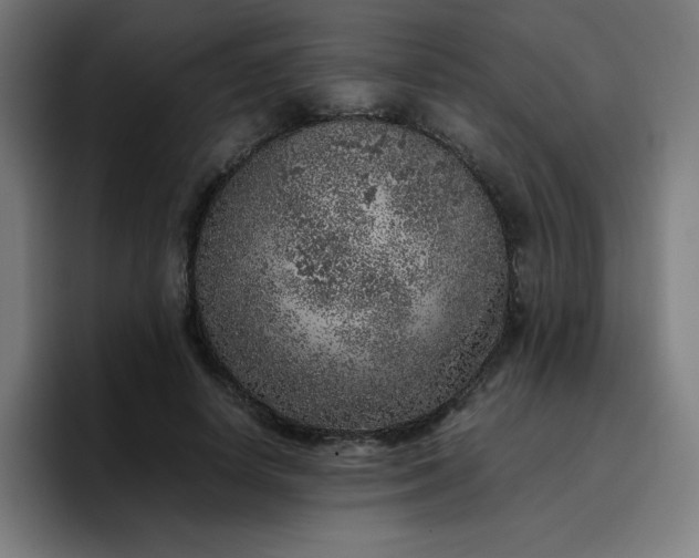 X0000096730642200802191549