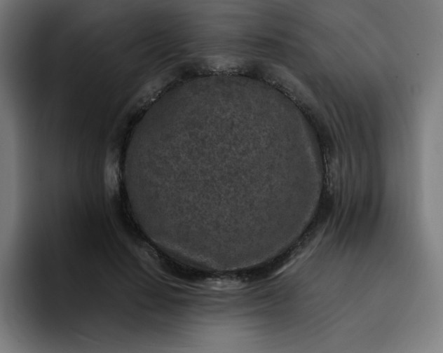 X0000096730644200802191549