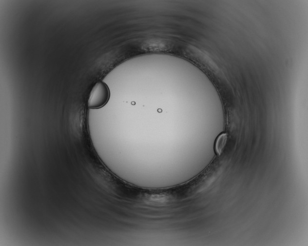 X0000096730645200802191549