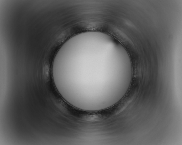 X0000096730646200802191549