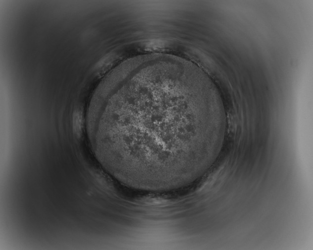 X0000096730648200802191549