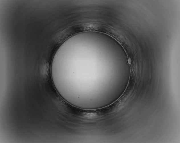 X0000096730649200802191549