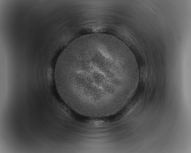 X0000096730650200802191549