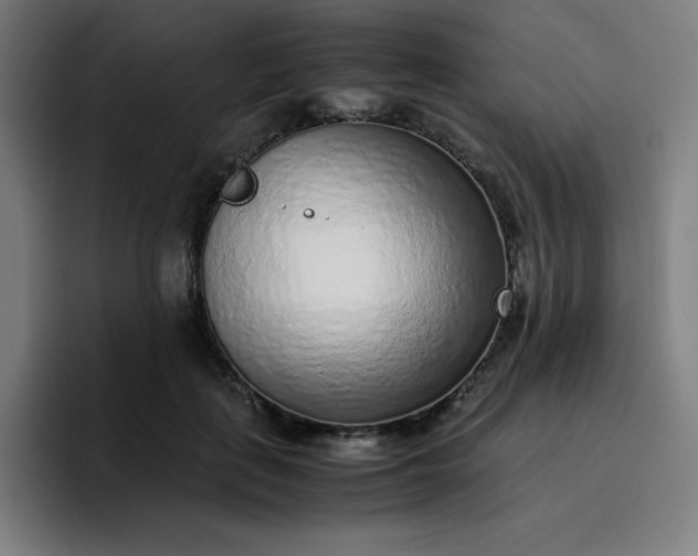 X0000096730651200802191549