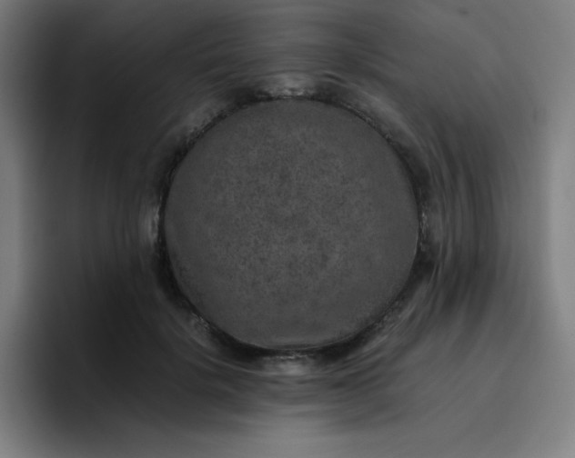 X0000096730652200802191549