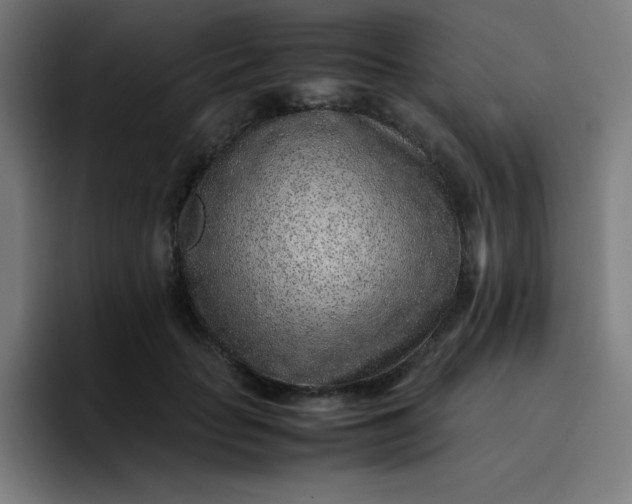 X0000096730653200802191549