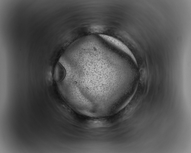 X0000096730655200802191549