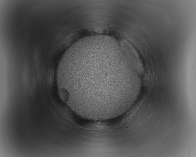 X0000096730656200802191549