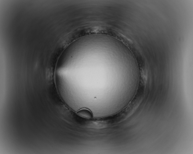 X0000096730657200802191549