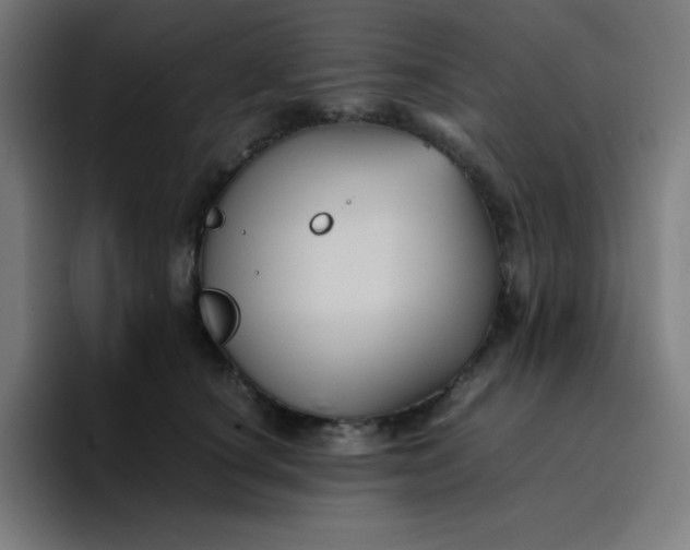 X0000096730660200802191549